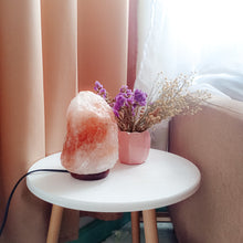 Load image into Gallery viewer, Himalayan Salt Lamp